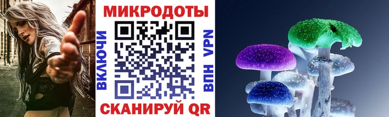 Купить где  Ахтырский  Псилоцибиновые грибы прущие грибы 